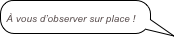 
À vous d’observer sur place !